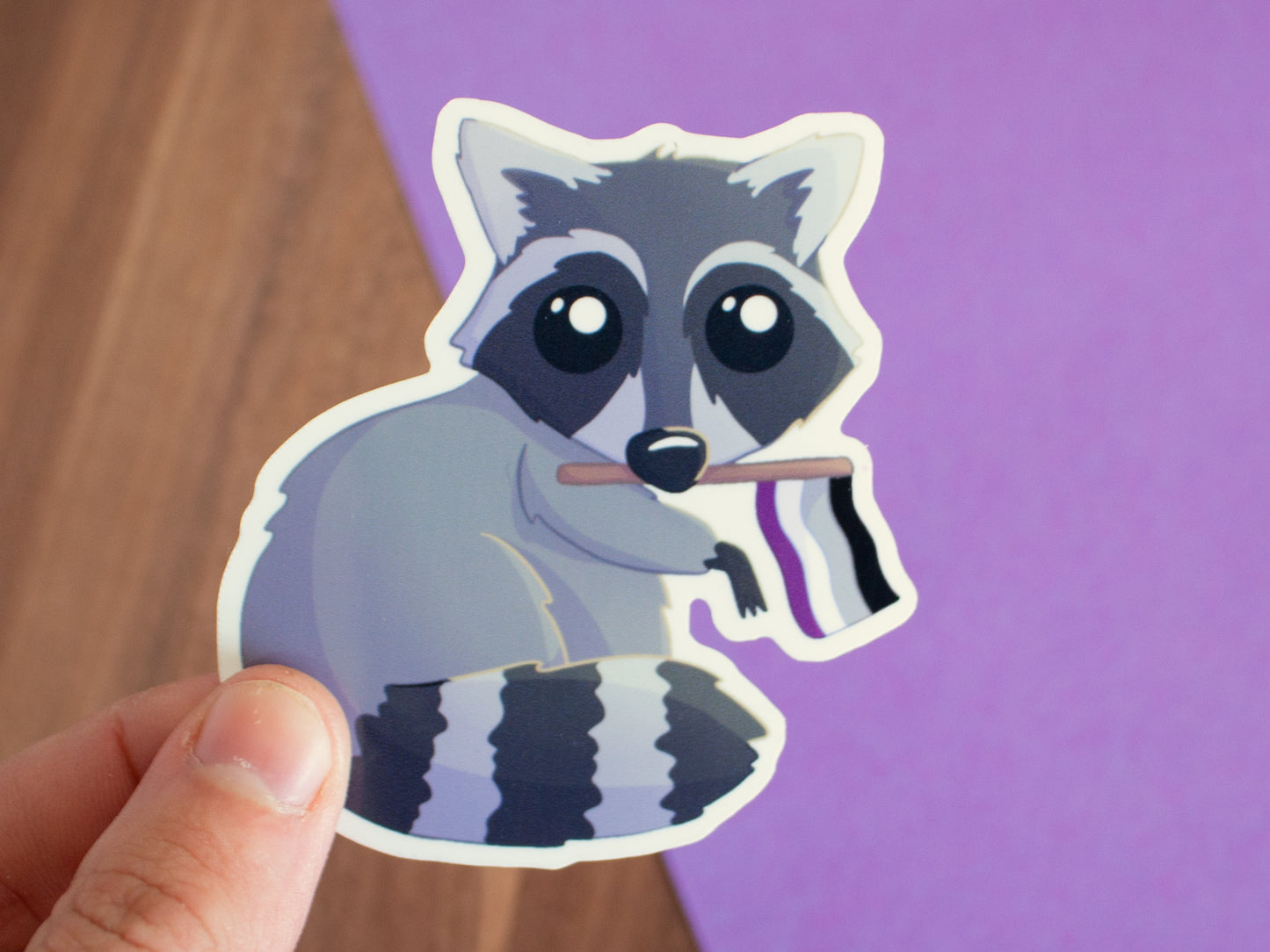 Queerer Waschbär Sticker