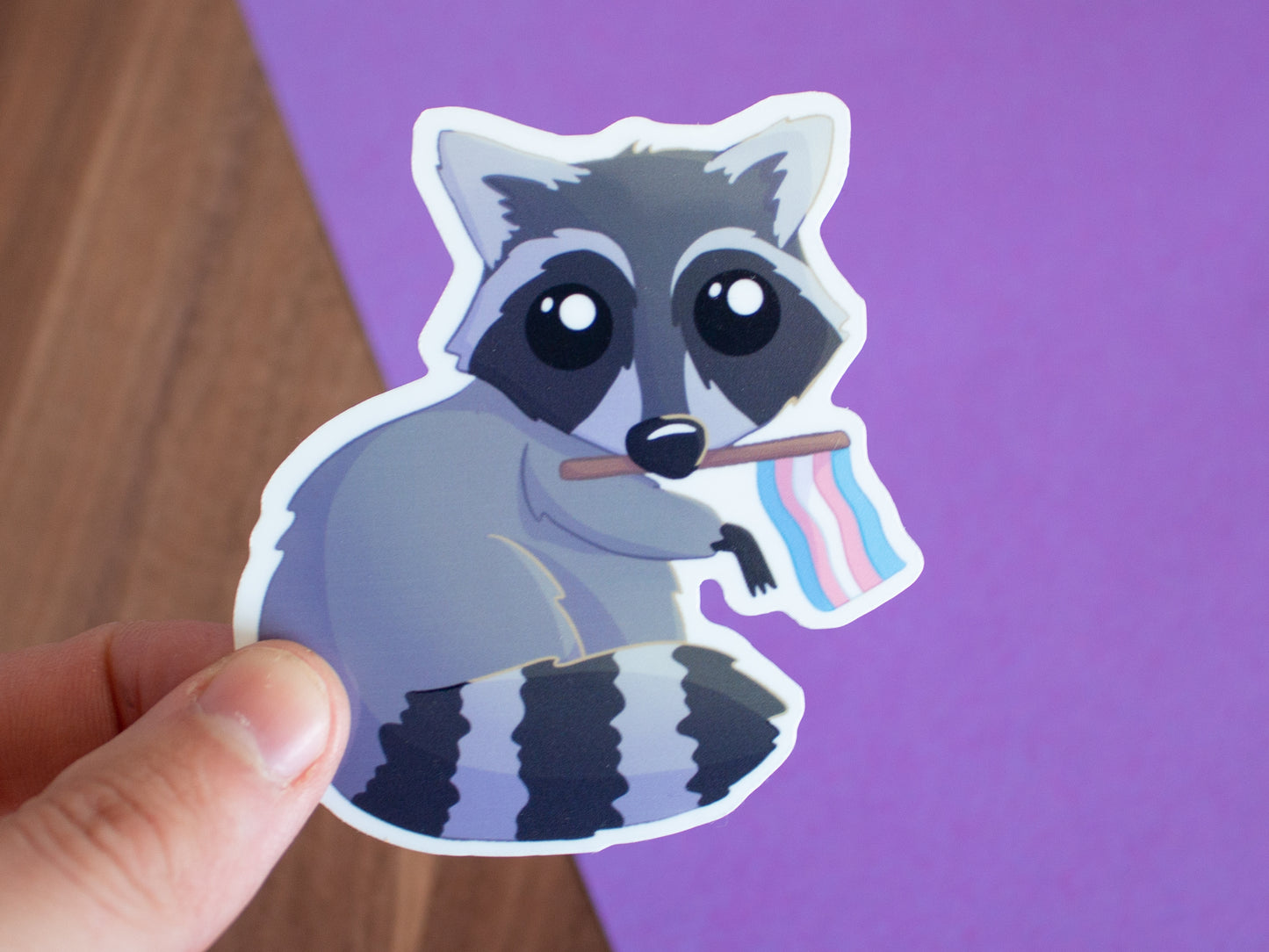 Queerer Waschbär Sticker