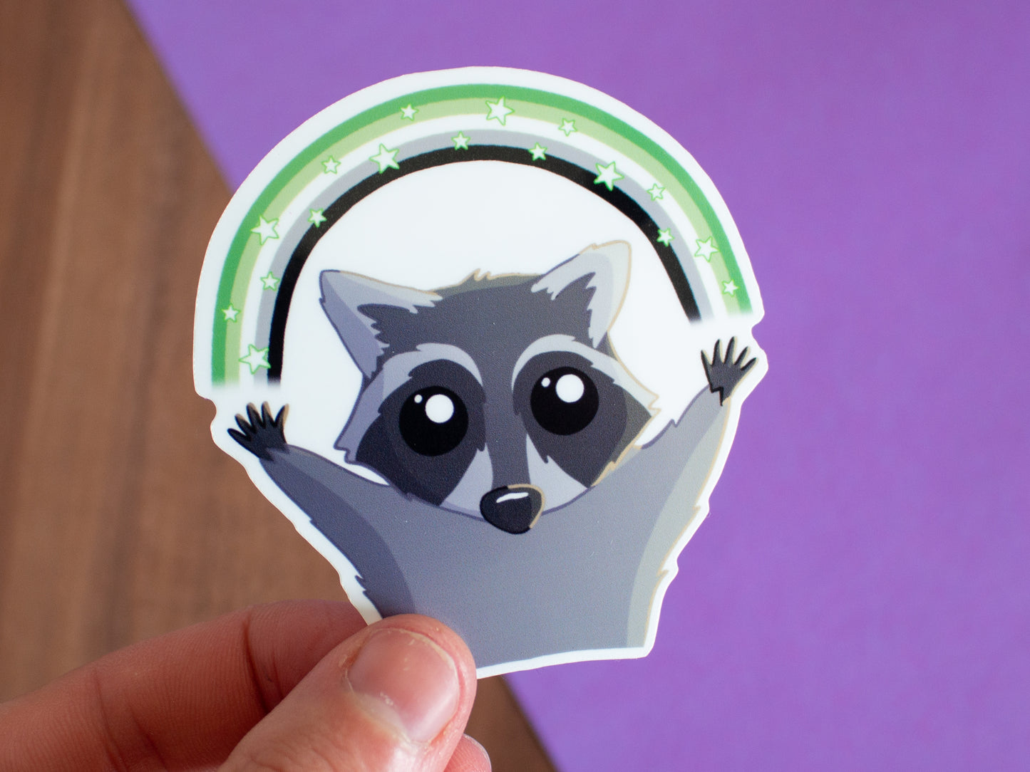 Pride-Waschbär mit Regenbogen Sticker