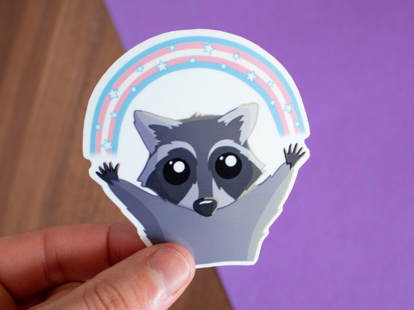 Pride-Waschbär mit Regenbogen Sticker